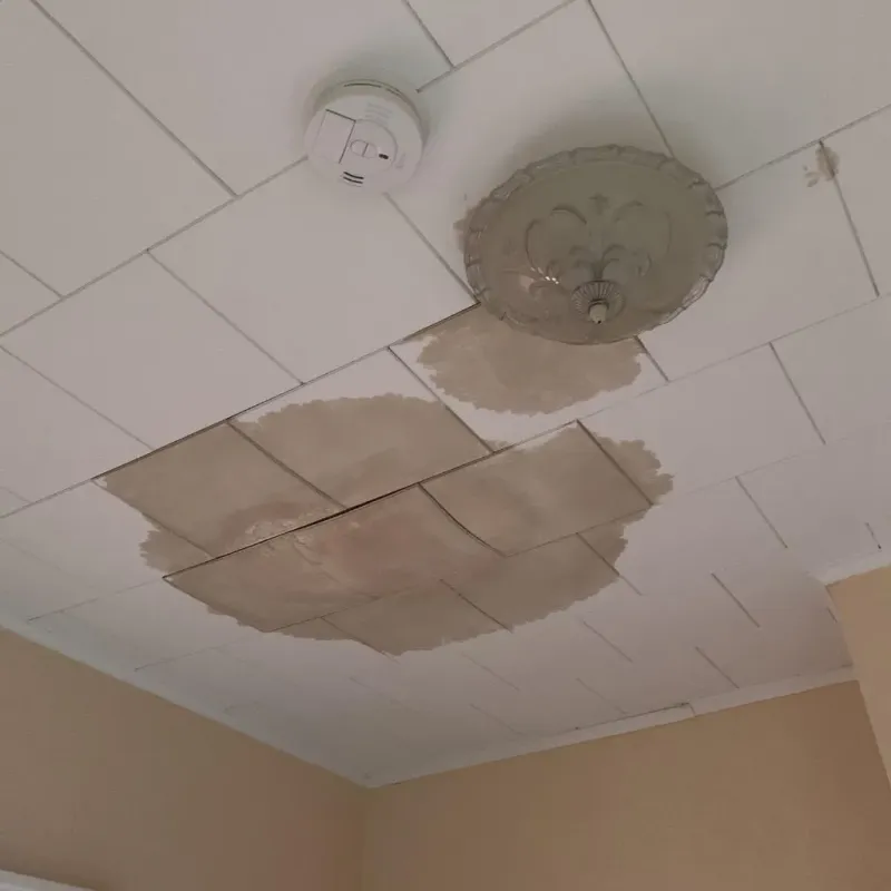 Ceiling Water Damage Repair in Elmendorf, TX